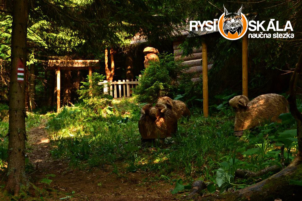 NAUČNÁ STEZKA RYSÍ SKÁLA KOUTY NAD DESNOU