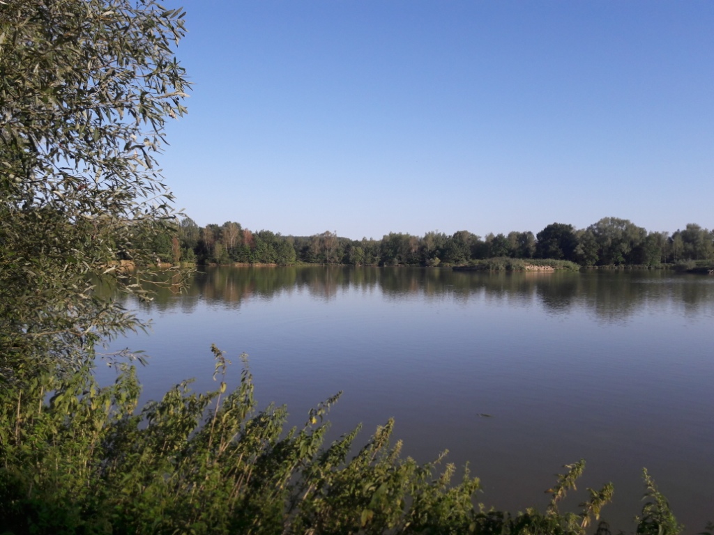 VOLENSKÝ A KOŠŤÁLOVSKÝ RYBNÍK U ŠENOVA