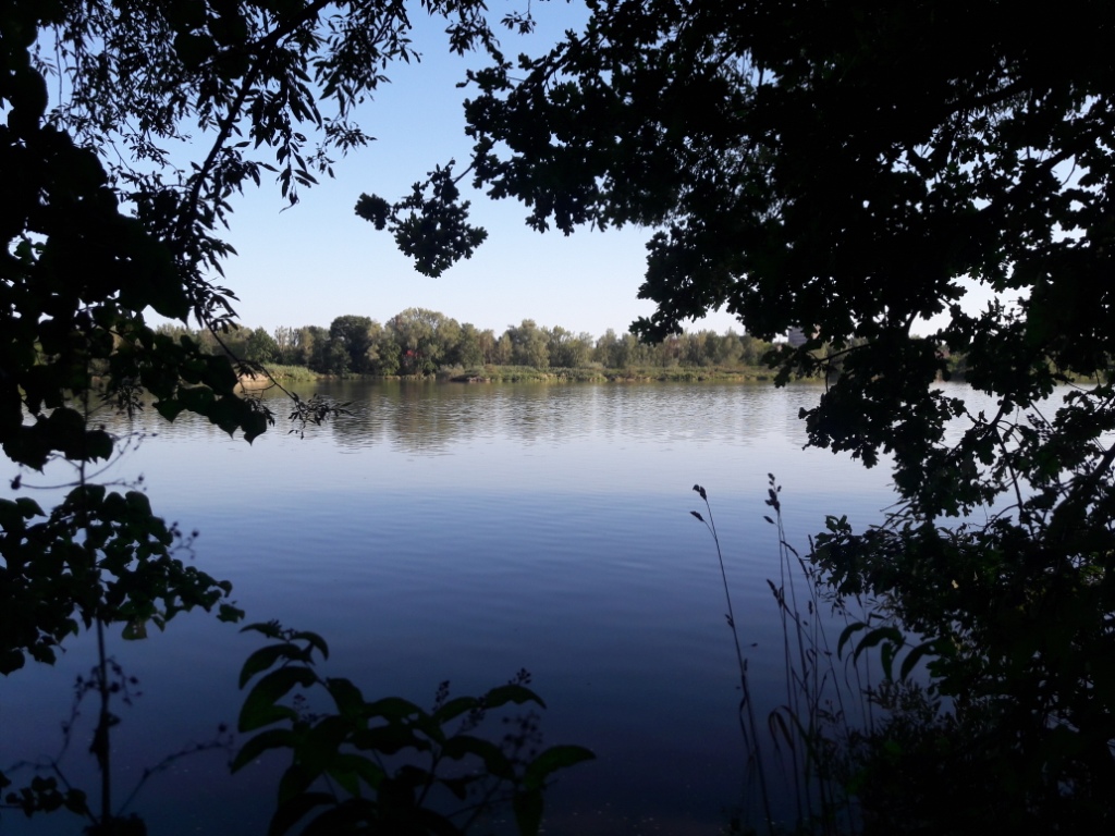 VOLENSKÝ A KOŠŤÁLOVSKÝ RYBNÍK U ŠENOVA
