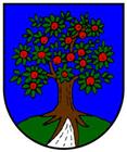 Znak msta Jablonec nad Nisou 
(klikni pro zvten)