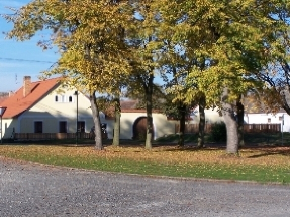 LUŽNICE