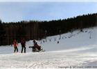 SKI AREL KARE V KOUTECH NAD DESNOU 
(klikni pro zvten)