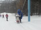 SKI AREL FARK V ROKYTNICI V ORLICKCH HORCH 
(klikni pro zvten)