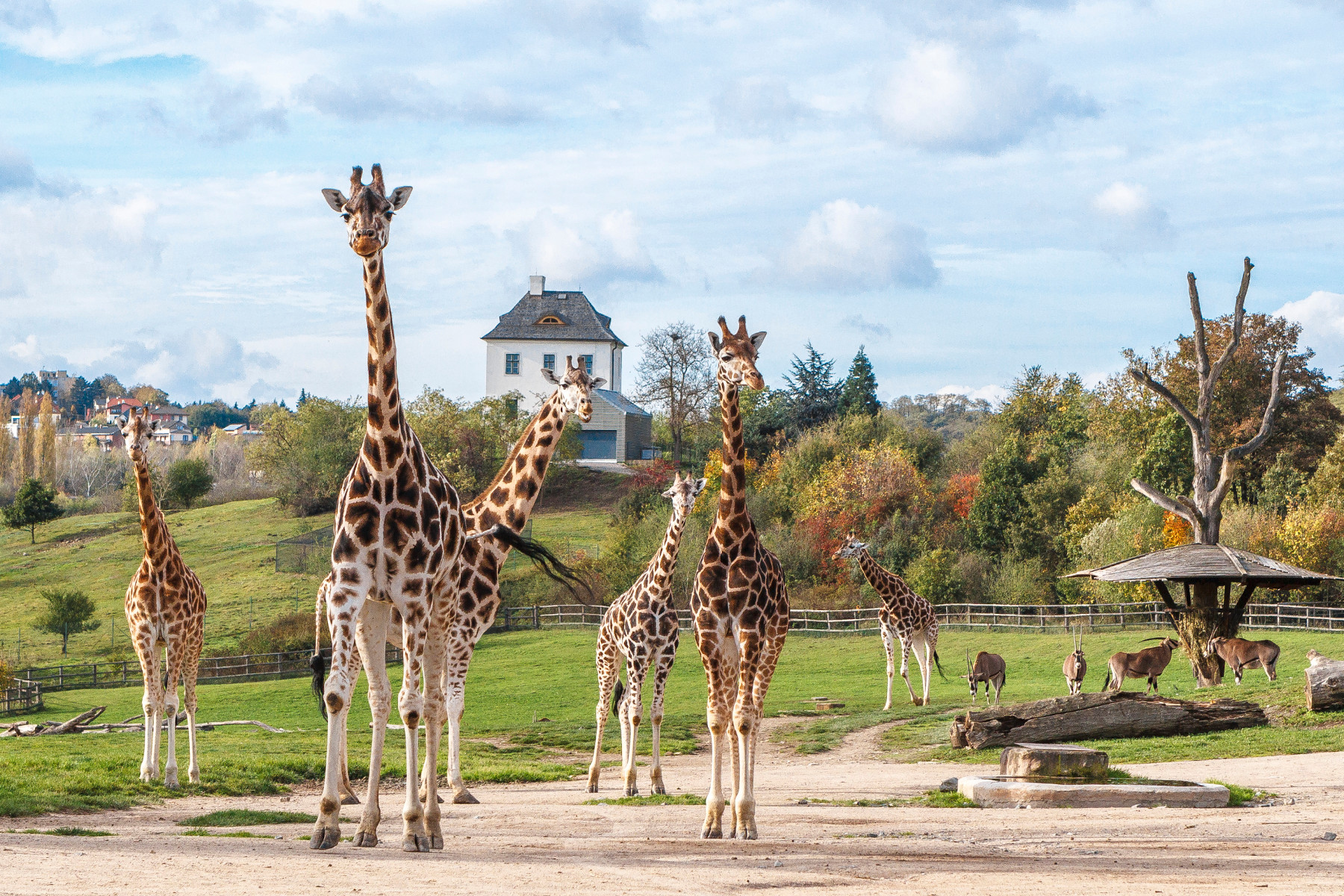 ZOO PRAHA