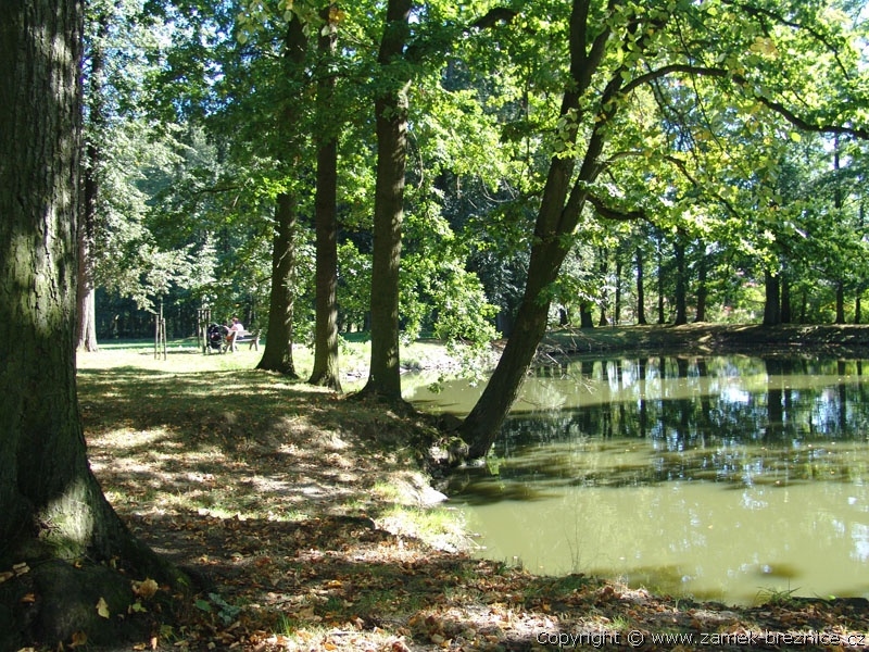 Zmek Beznice - zmeck park - u rybnka