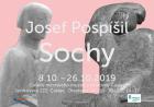 JOSEF POSP͊IL - SOCHY