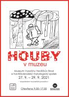 Houby v muzeu