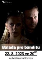 Balada pro banditu